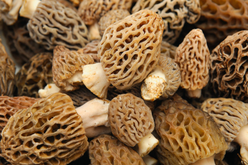 How To Cook Morels